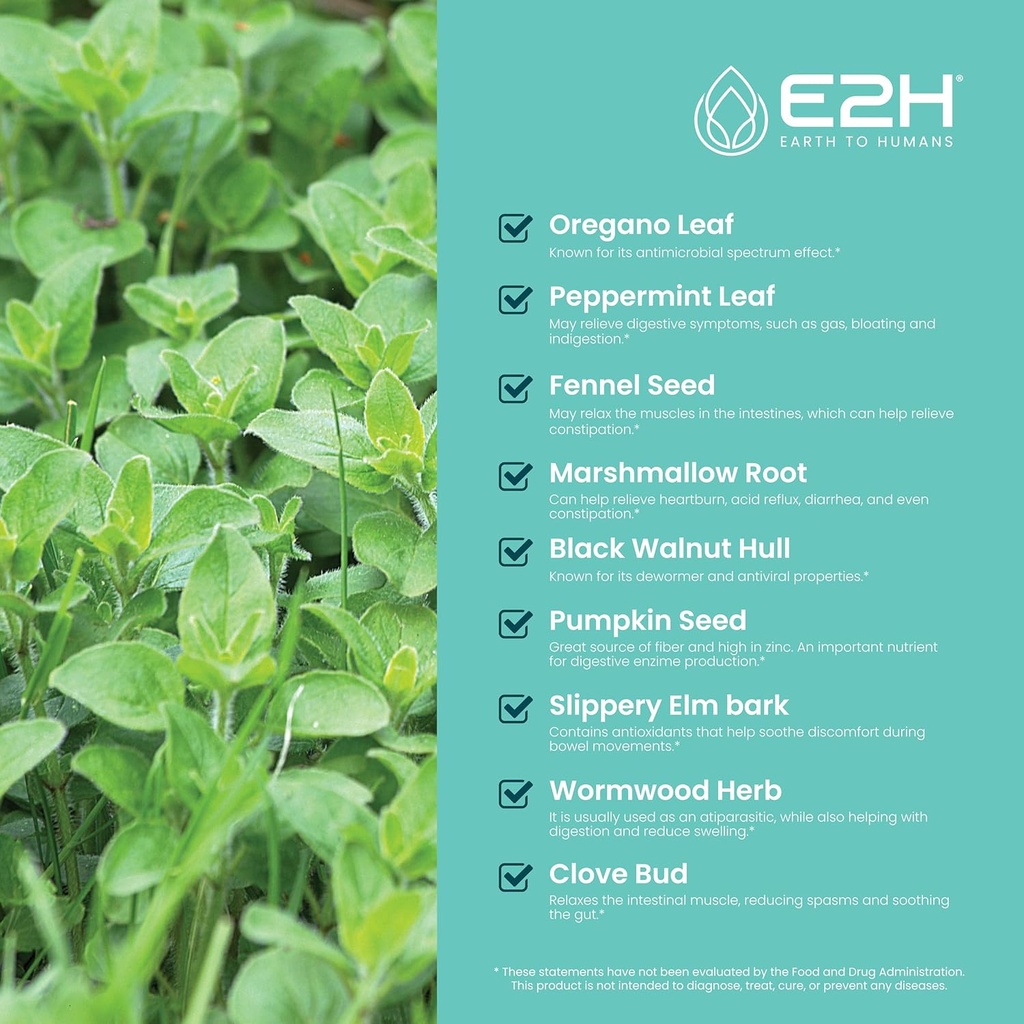 e2h-advanced-intestinal-support---promot-3.jpg