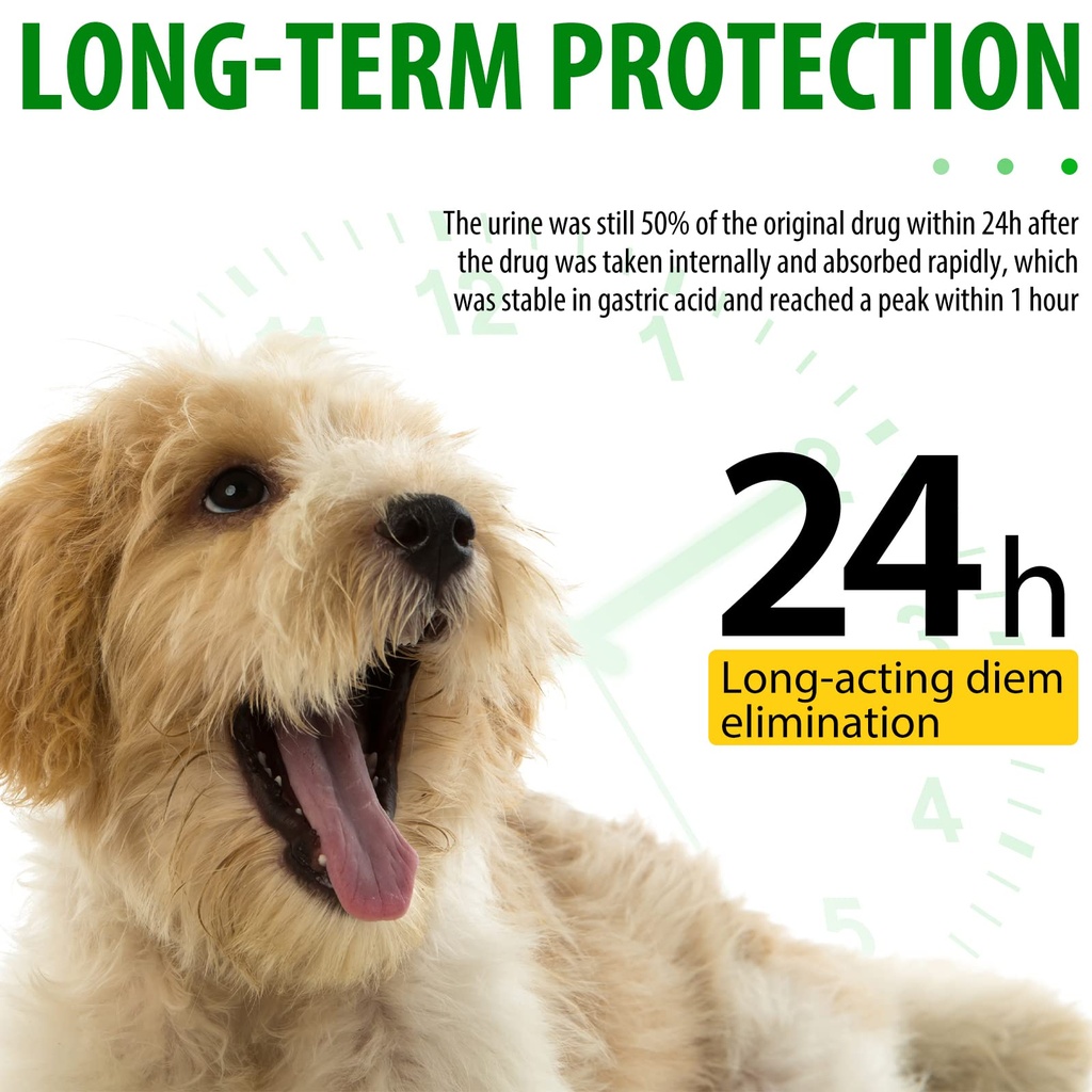 antibiotics-for-dogs-natural-dog-antibio-4.jpg