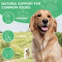 antibiotics-for-dogs-natural-antibiotics-6.jpg