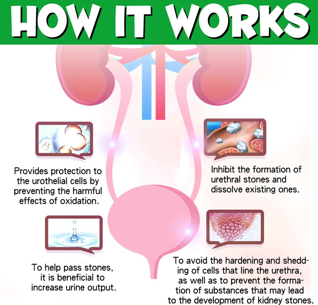urinary-tract-for-dogs-dog-urinary-tract-5.jpg