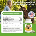 only-natural-pet-canine-bladder-control--4.jpg
