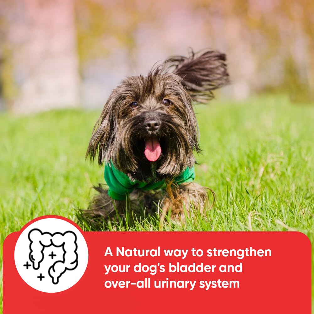 iheartdogs-extra-strength-urinary-bladde-4.jpg