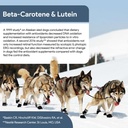 senior-dog-vision-and-cognition-suppleme-6.jpg