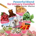 cat-uti-treatment-dog-urinary-tract-infe-3.jpg