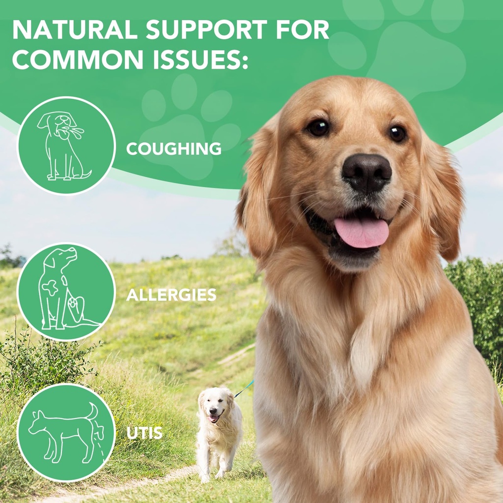 antibiotics-for-dogs-dogs-antibiotic-liq-6.jpg