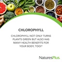 naturesplus-chlorophyll-complex-90-capsu-3.jpg