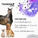 b-complexvet-and-canine-geriatric-basics-4.jpg