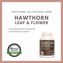 remedy-s-nutrition-hawthorn-leaf-flower--5.jpg