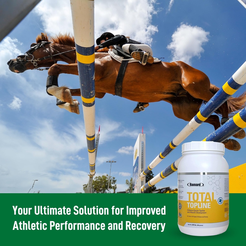 ramard-total-topline-powder-horse-supple-5.jpg