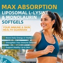 liposomal-lysine-monolaurin-1000mg-softg-714v0limDKL.jpg