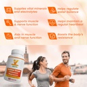 invita-potassium-magnesium-supplement-90-5.jpg