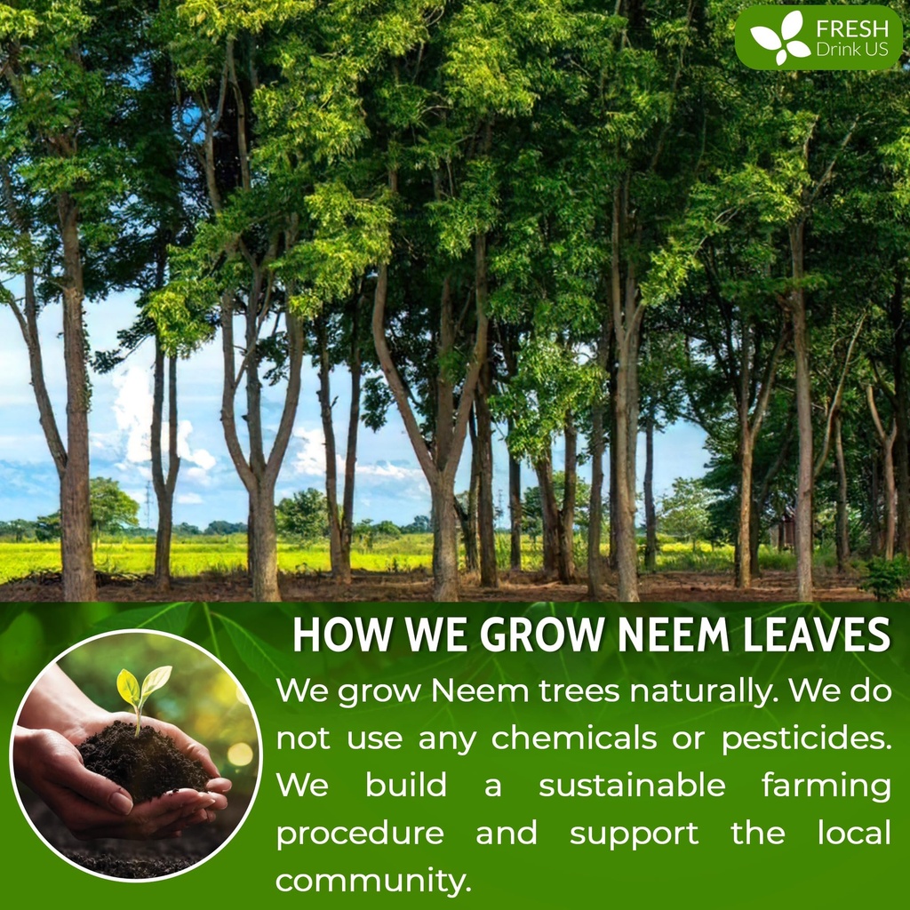freshdrinkus-premium-10oz-neem-leaf-powd-81T2TTHxlDL.jpg