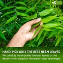 freshdrinkus-premium-10oz-neem-leaf-powd-81ogPjLxb4L.jpg