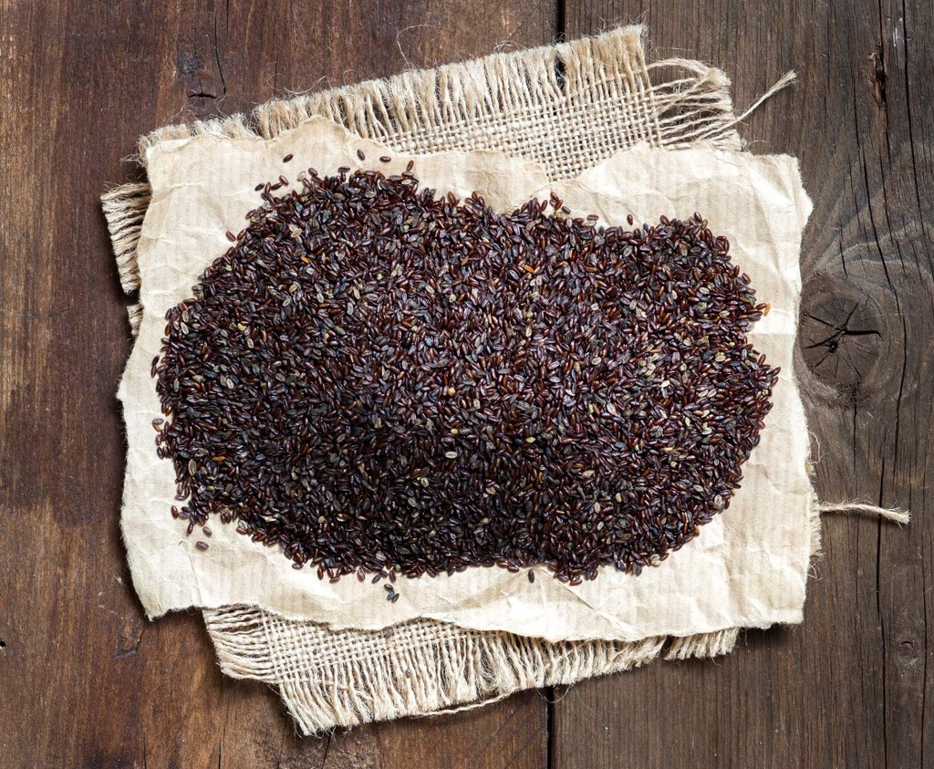health-embassy-plantago-psyllium-seeds-p-81Cm0LVPNhL.jpg