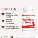 new-life-hawthorn-berry-1000mg-cardiovas-71WqCW6ghUL.jpg
