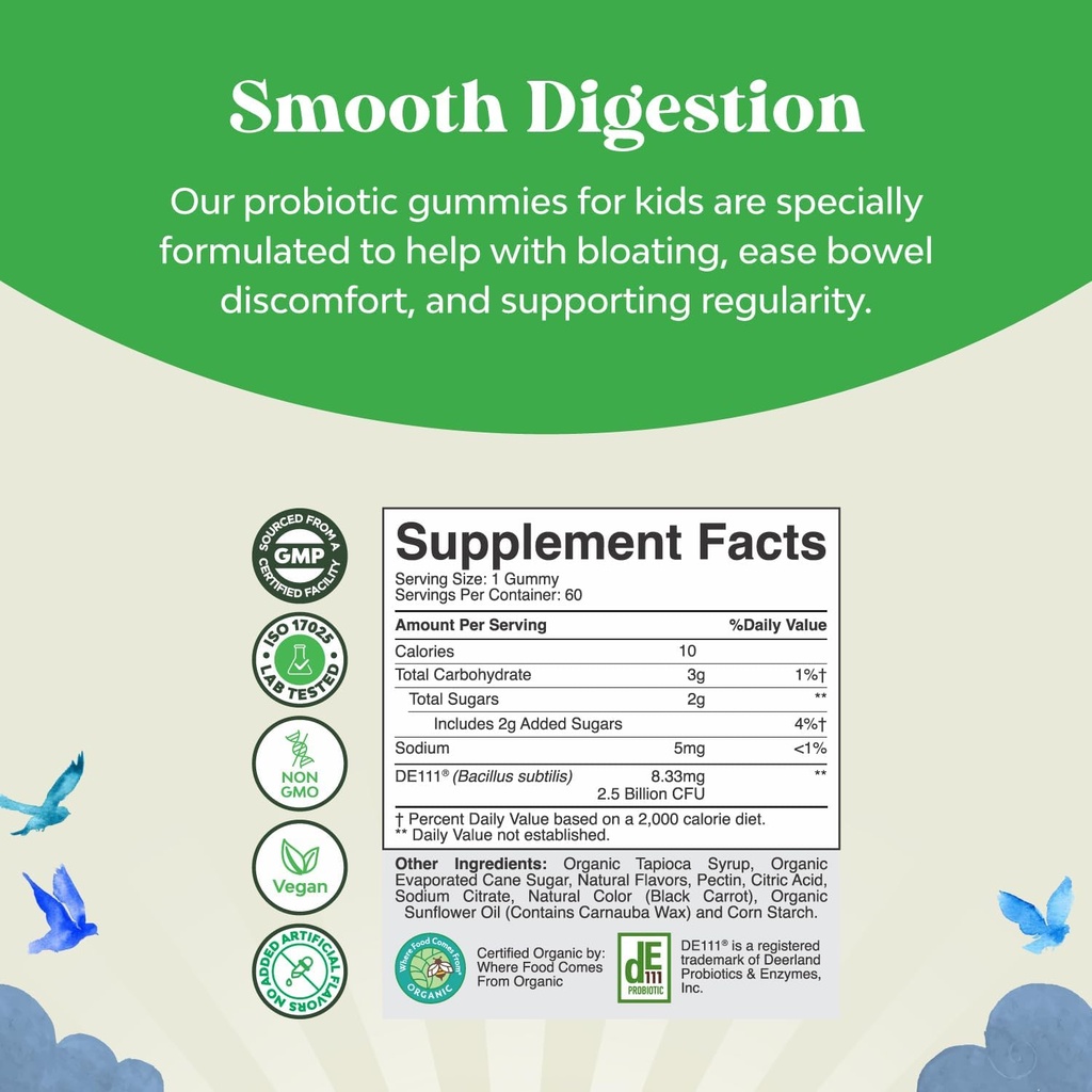 natures-craft-usda-organic-probiotic-gum-2.jpg
