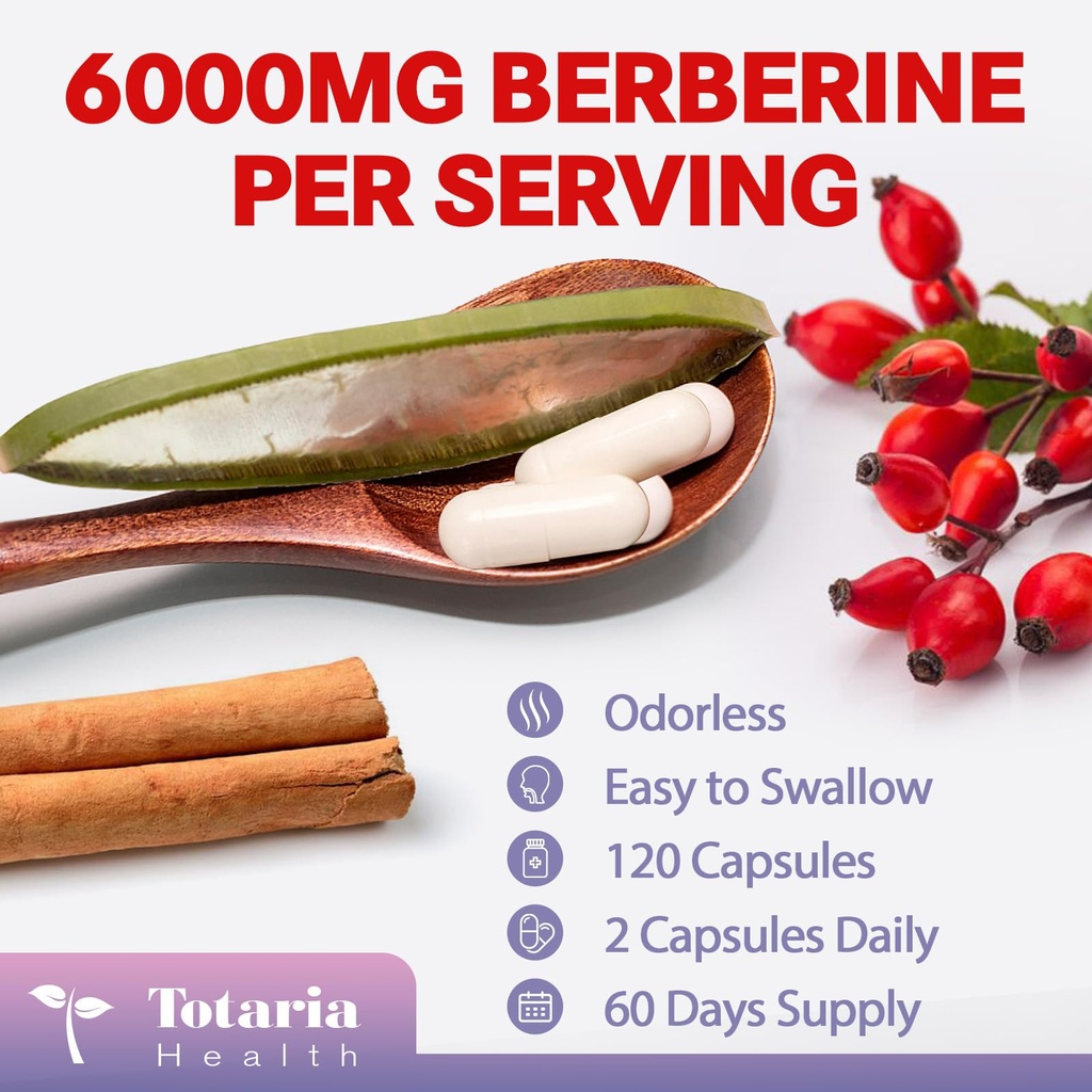 berberine-supplement-with-ceylon-cinnamo-71RR5Ds2yRL.jpg
