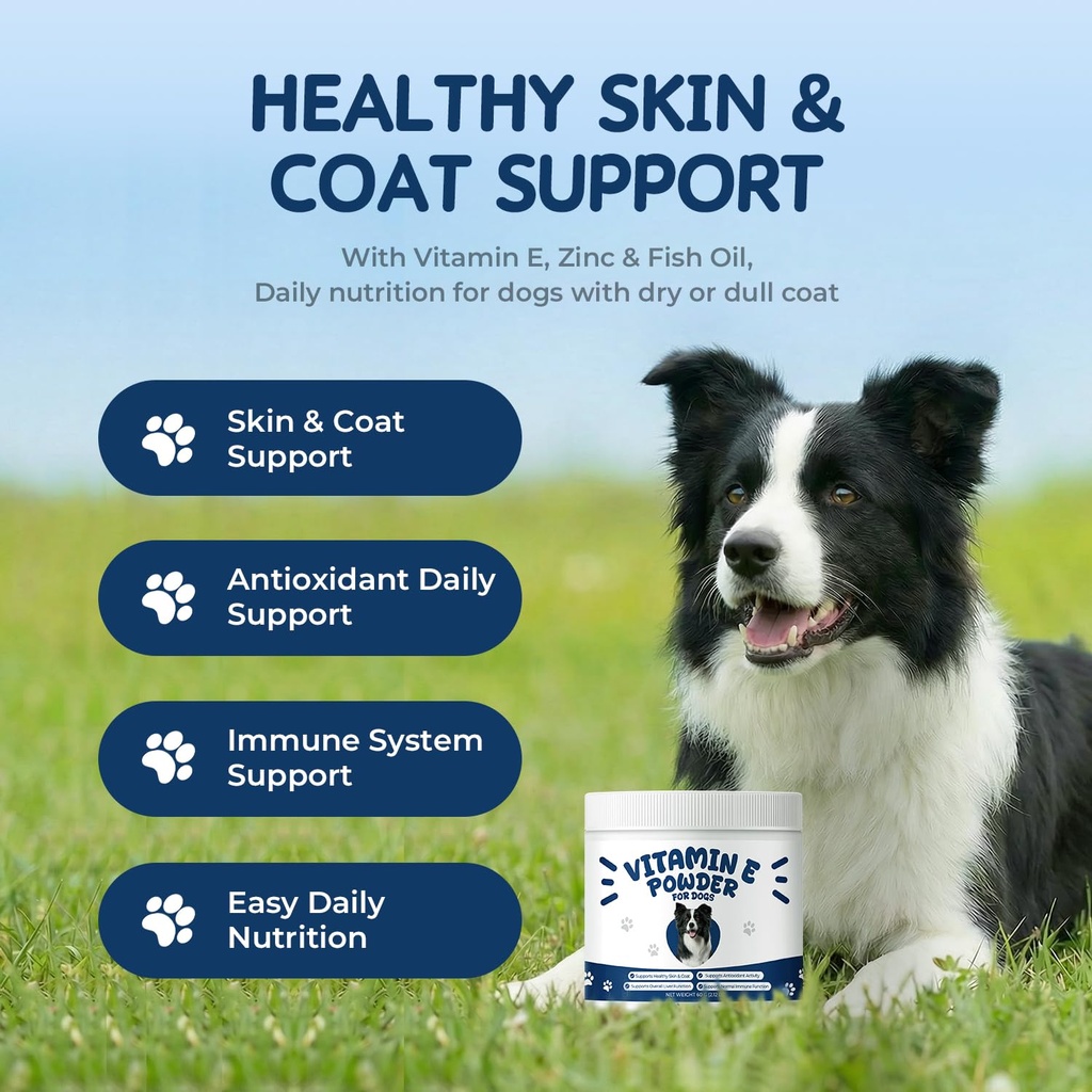 vitamin-e-for-dogs-powder-antioxidant-sk-71Za3DAJ4yL.jpg
