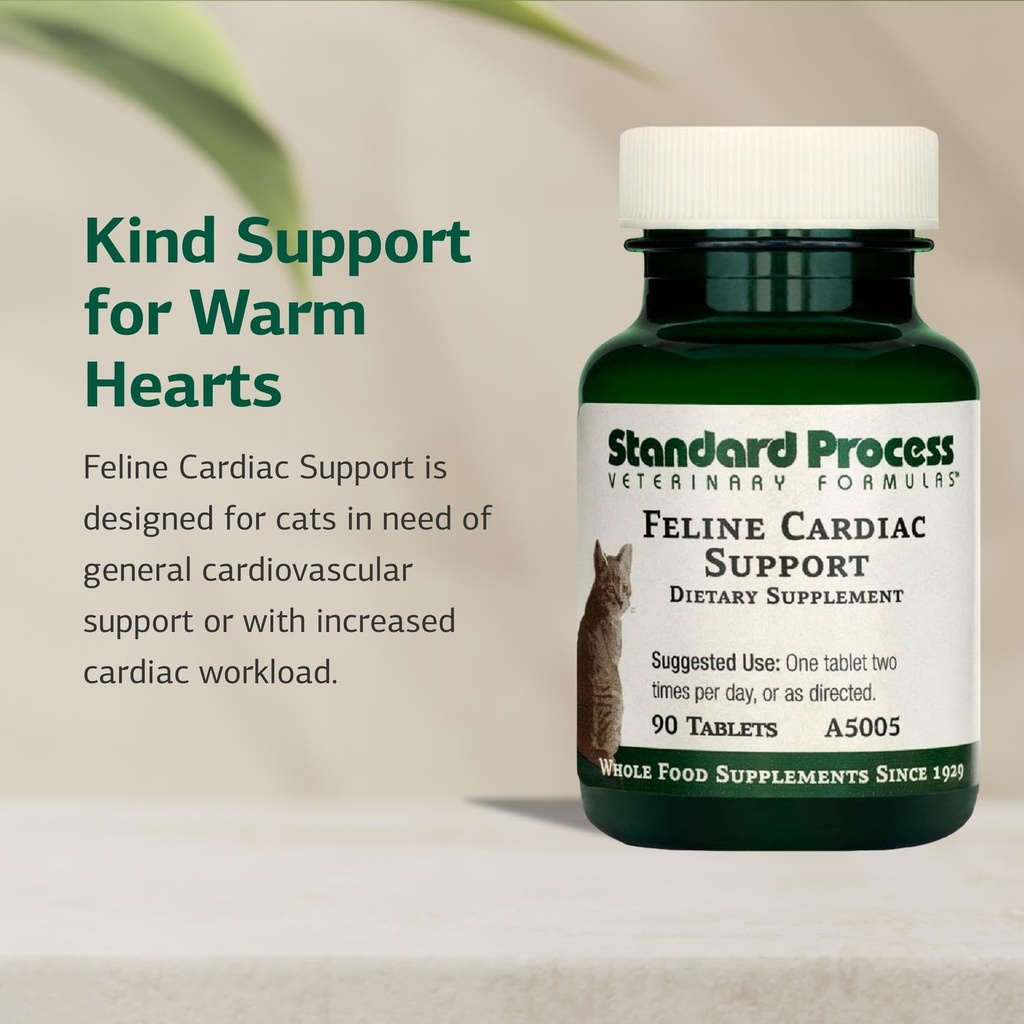 standard-process-feline-cardiac-support--71F-JYNP8dL.jpg