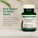 standard-process-feline-cardiac-support--71F-JYNP8dL.jpg