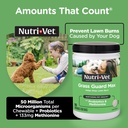 nutri-vet-grass-guard-chewables-for-dogs-8184Nwyy3YL.jpg