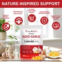 aged-garlic-extract-capsules-7500mg-odor-71ti3oSvzjL.jpg