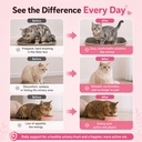 cat-urinary-kidney-support-lickable-trea-71p7WK51kBL.jpg