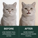 happy-wags-aim-powder-for-cats-50-servin-814tv9zq-3L.jpg