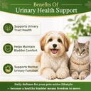 bladder-stone-dissolver-for-dogs-cats-tc-81z6SOLRk5L.jpg