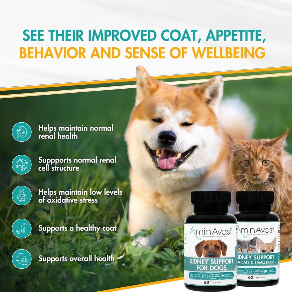 aminavast-kidney-support-for-dogs-over-2-81pB2YqKRfL.jpg
