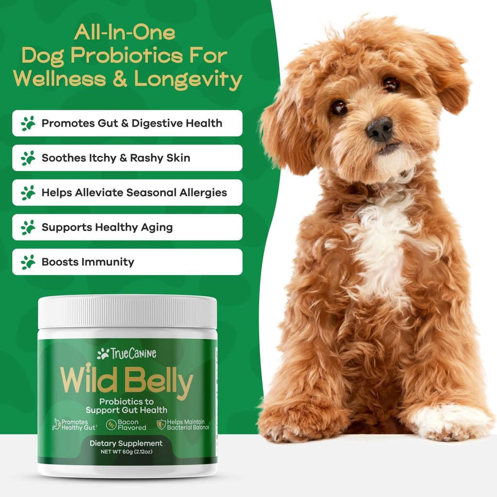 dog-probiotics-for-digestive-health---pr-3.jpg