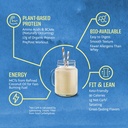 sunwarrior-vegan-protein-powder-organic--91mLTF6tBwL.jpg