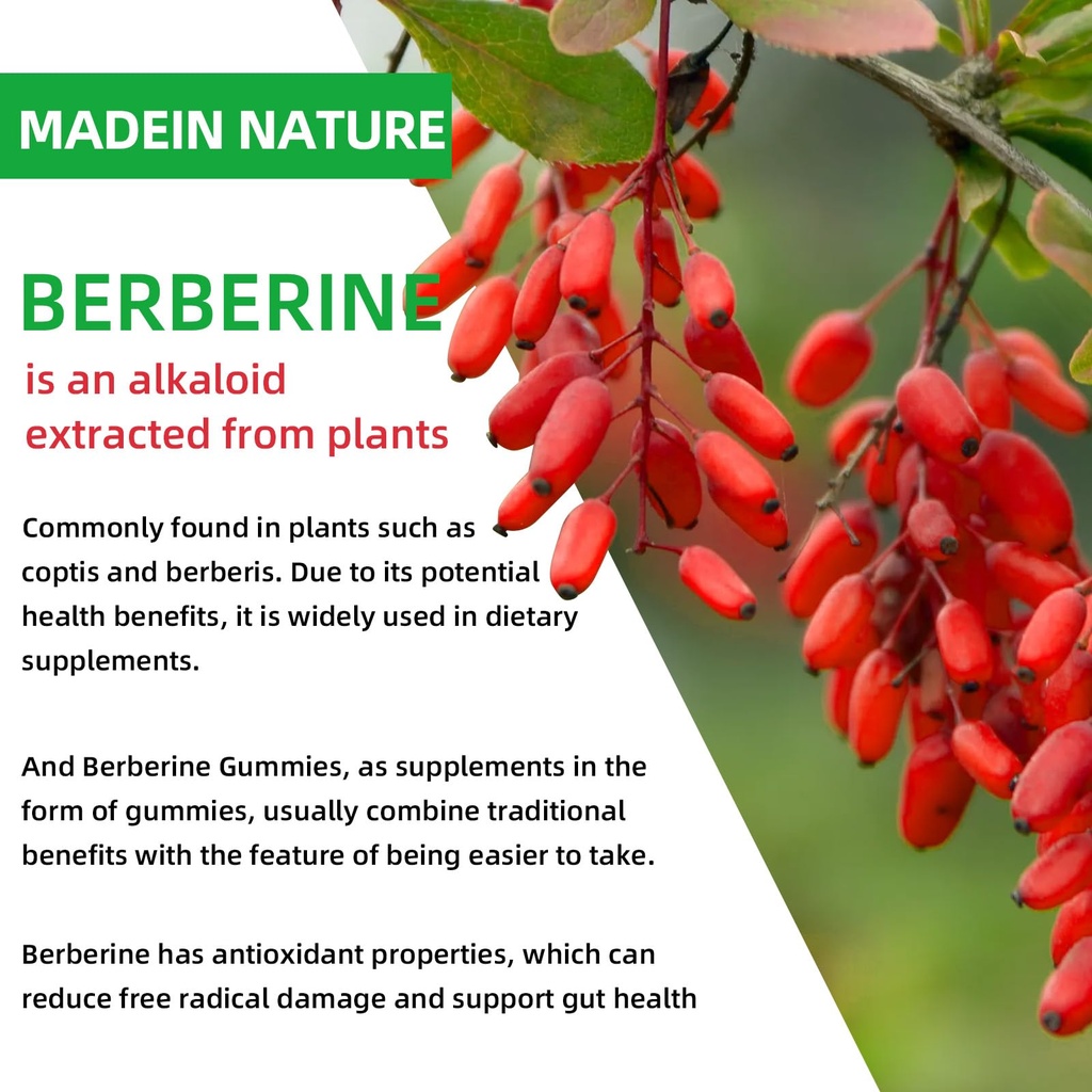 berberine-supplement-with-ceylon-cinnamo-71fPgys0syL.jpg