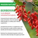 berberine-supplement-with-ceylon-cinnamo-71fPgys0syL.jpg