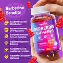 berberine-gummies-tasty-easy-to-take-60--81gZlU4l5bL.jpg