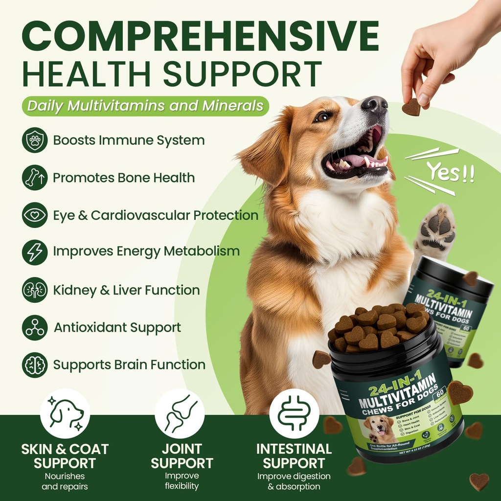 24-in-1-dog-vitamins-and-supplements-60--81JlsQzTR3L.jpg