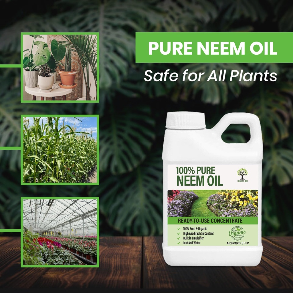 nature-s-will-pure-ready-to-use-neem-oil-81fl3oOgOJL.jpg