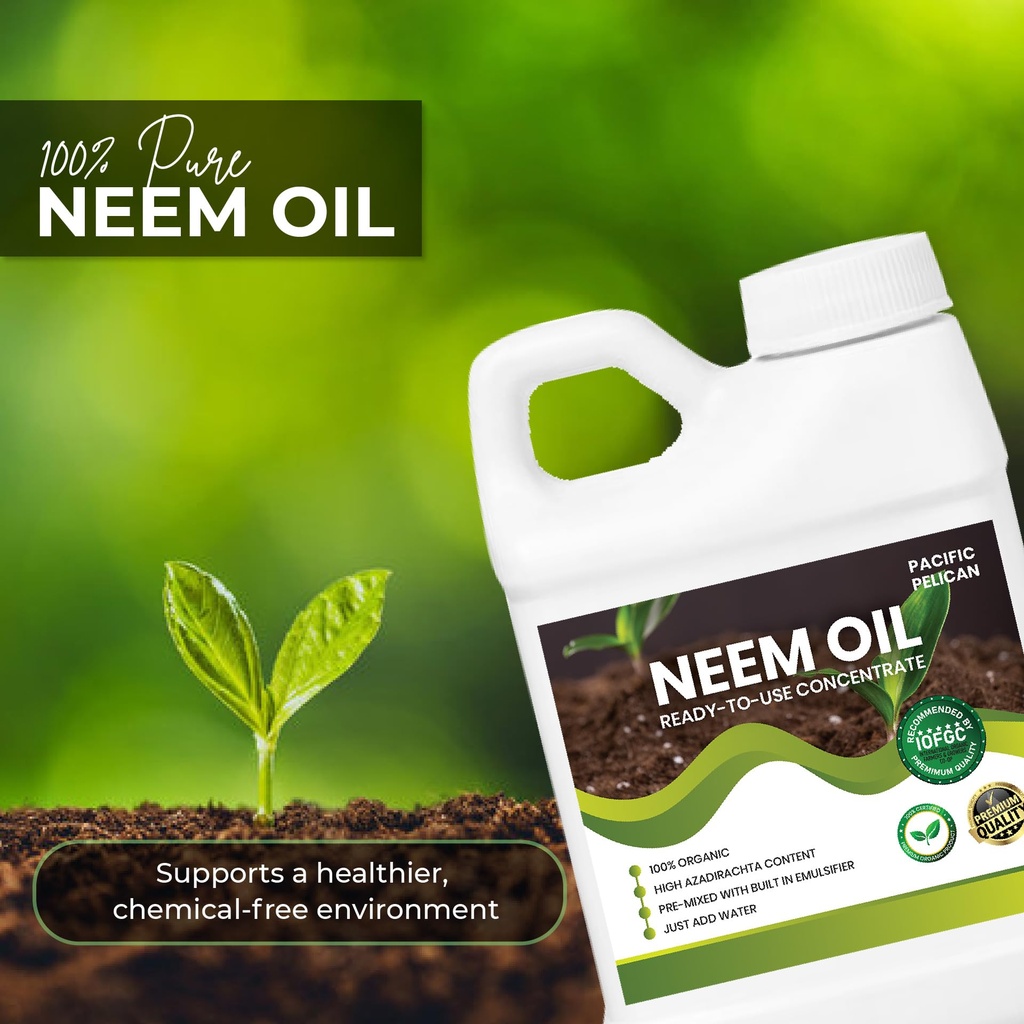 ready-to-use-neem-oil-concentrate-unscen-71eQZ3XoCOL.jpg