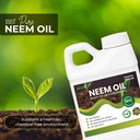 ready-to-use-neem-oil-concentrate-unscen-71eQZ3XoCOL.jpg