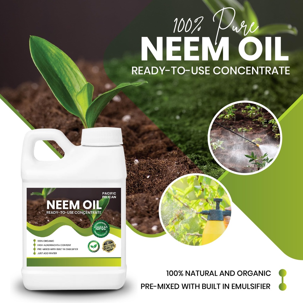 ready-to-use-neem-oil-concentrate-unscen-81aBC6vTa+L.jpg