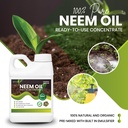 ready-to-use-neem-oil-concentrate-unscen-81aBC6vTa+L.jpg
