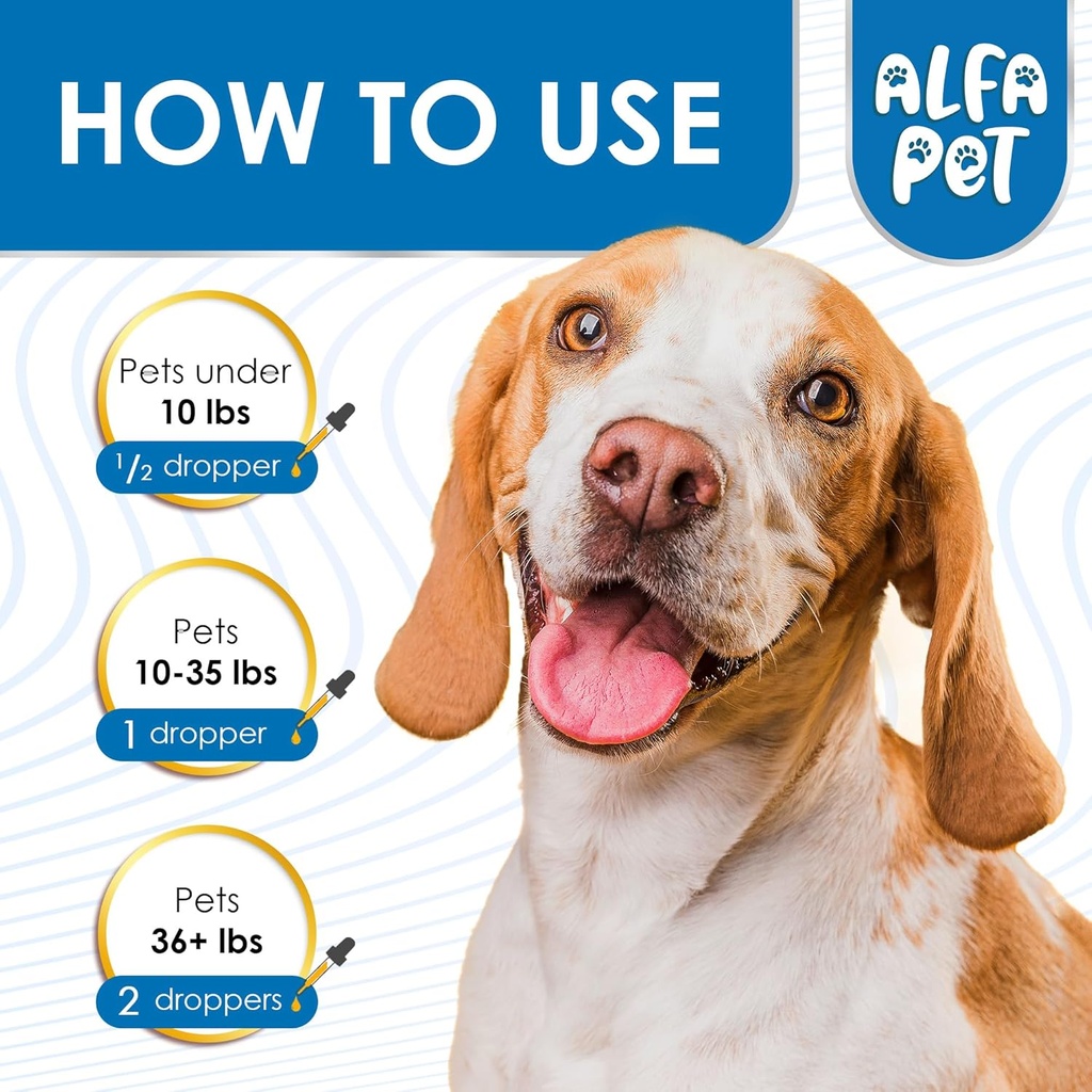 dog-cough-treatment-liquid-kennel-cough--4.jpg