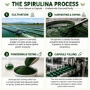 saptamveda-natural-spirulina-capsules-20-71aqkqF01QL.jpg