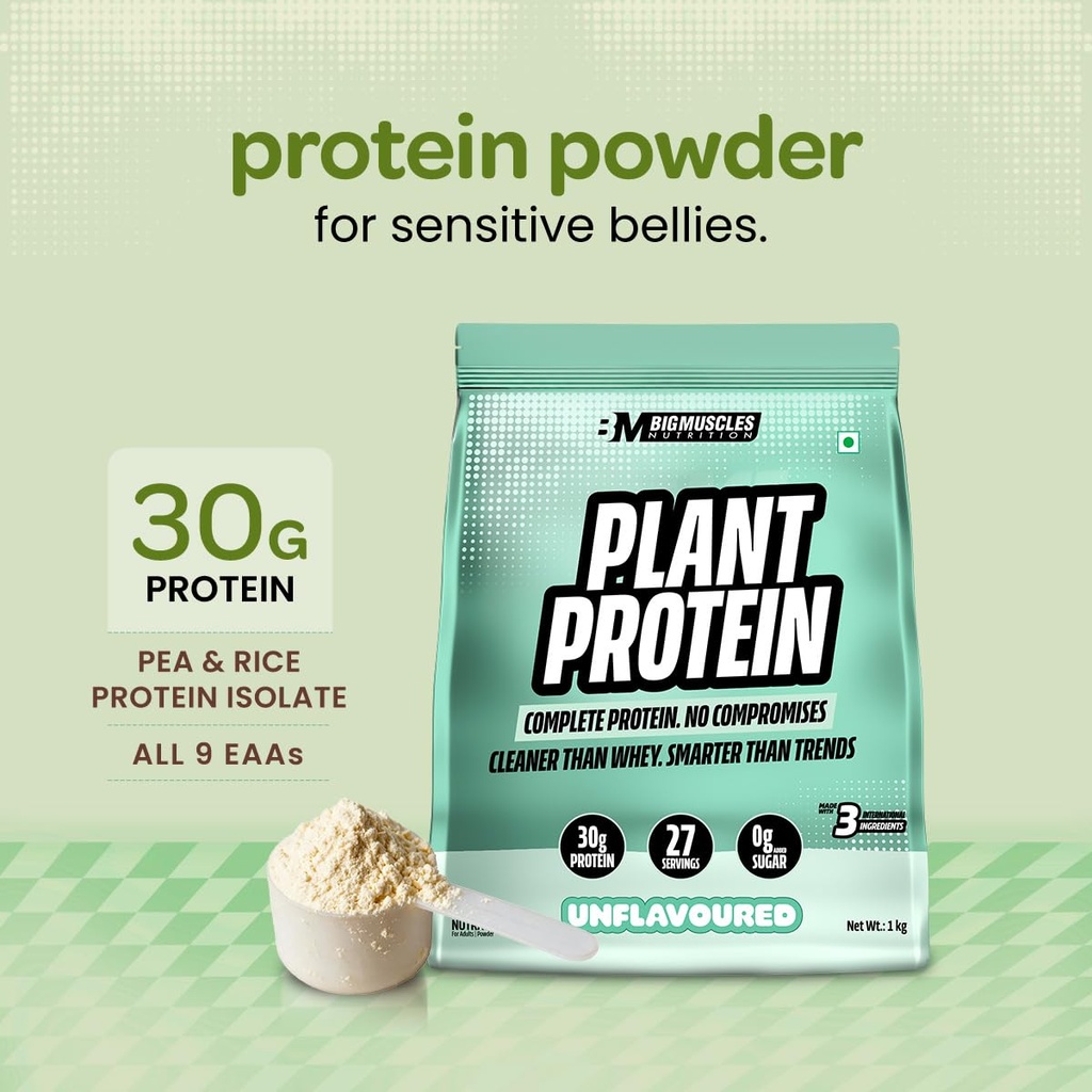 bigmuscles-nutrition-clean-plant-protein-61AGpIDGlSL.jpg