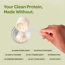 bigmuscles-nutrition-clean-plant-protein-61RekXc63DL.jpg