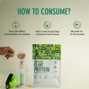 bgreen-plant-protein-powder-chocolate-1k-610WFZ+MOZL.jpg