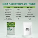 bgreen-plant-protein-powder-chocolate-1k-71AXhubqs0L.jpg