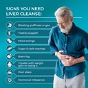 purehealth-research-liver-health-liver-c-81vyxGQMWIL.jpg