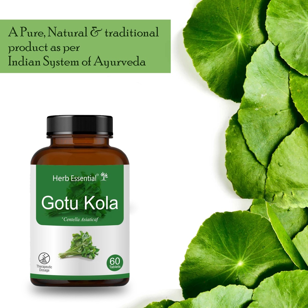 herb-essential-gotu-kola-tablets-500mg-1-81AEknA0FUL.jpg