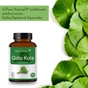 herb-essential-gotu-kola-tablets-500mg-1-81AEknA0FUL.jpg